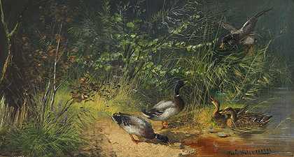 池塘里的鸭子，大约1880/90。-朱利叶斯·舍勒