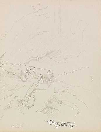 落叶云杉，约1850/1860年。-卡尔·施皮茨韦格