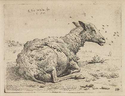 350亿。羊，牛，风景，大约1650-1660年。-卡雷尔·杜贾尔丁