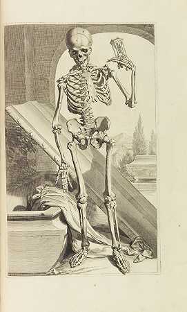 人体解剖学，1685年。-戈瓦德·彼得罗