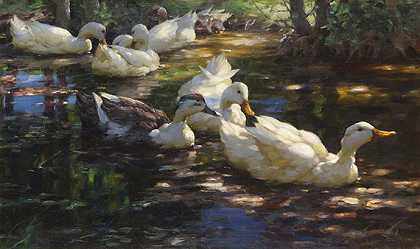 1910年左右，七只鸭子在阴凉的森林池塘里。-亚历山大·科斯特