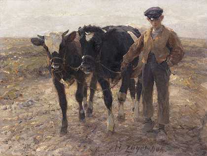 1904年，牧羊人在荒野上放牧幼牛。-海因里希·冯·苏格尔