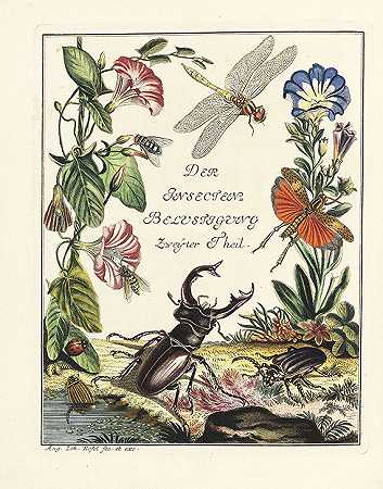 《Amustigung昆虫》，第4卷，Kleemann，Beyträge zur Naturgeschichte，第2卷。总共5体积，1759-1793.-八月约翰·罗森霍夫