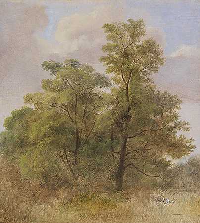 树木研究，约1831/1835年。-卡尔·施皮茨韦格
