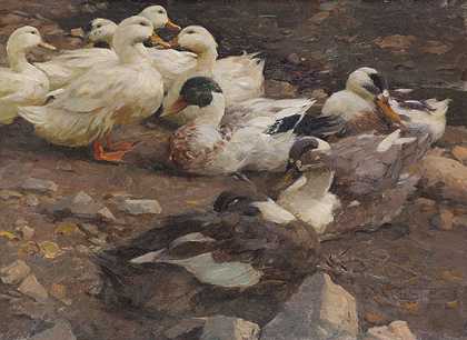 九只鸭子在池塘边，大概在1900年以前。-亚历山大·科斯特