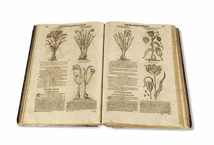新的完整评论Kreuterbuch，3部分，2卷，1625年。-雅各布·西奥多·塔伯纳蒙塔努斯