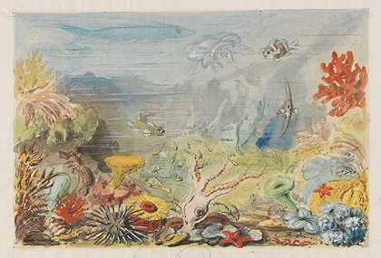 1876年前，1亿阿拉伯珊瑚，加上1亿那不勒斯计划。-恩斯特·海克尔