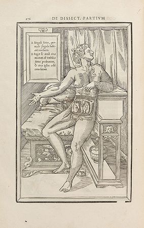 摘自人体解剖部分，1545年。-查尔斯·埃斯蒂安