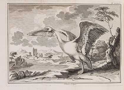 自然史论文。3.Bd。，1757-1758.-克洛德·佩罗