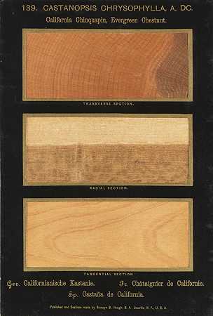 美国森林。3文本。和14个带面板的磁带盒。姐妹公元前17年。，18881928-罗梅恩·贝克·霍