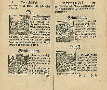 练习者的书，未读的阿尔茨尼剧本，1589年。-约翰内斯·德莱安德
