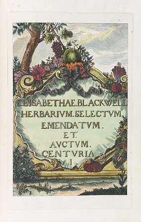 植物标本馆Blackwellianum。公元前1748-75.6年。-伊丽莎白·布莱克韦尔