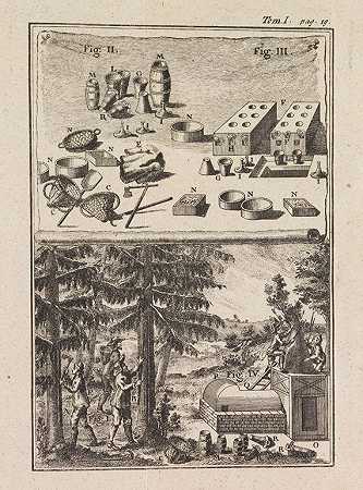 关于树木的文章。1762年至63.3年。1.Bd中。-亨利·路易斯·杜哈默尔·杜蒙索