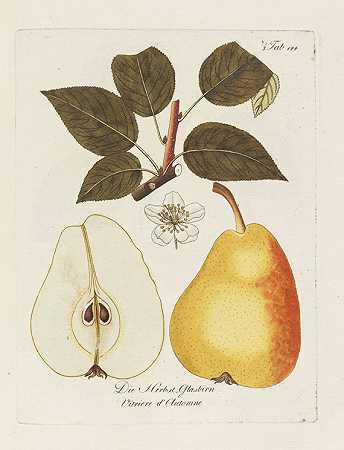 关于果树的论文。1792-约翰·克拉夫特