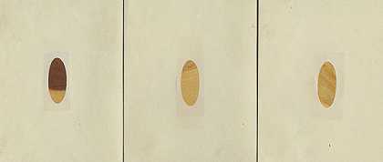 赫尔曼·诺林杰。一百种木材的横截面。3Bde。1852-1861-赫尔曼·冯·诺林杰