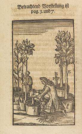瓦莱蒙特，《自然与艺术的好奇》，1714年。-农业和家庭