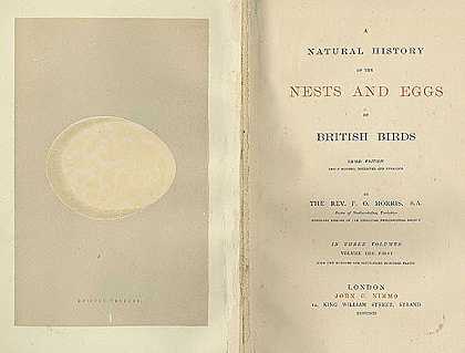 英国鸟类的巢和蛋。3 Bde。大北：英国鸟类的蛋。2 Bde.+穆迪，羽毛部落。2 Bde.+英国鸟类史。8Bde。，1892-威廉·查普曼·休伊森