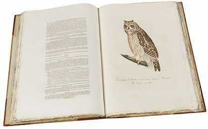 条顿鸟类学。1800-1817.-约翰·康拉德·苏塞米尔