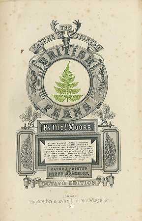 《自然》杂志印刷了英国蕨类植物。2 Bde。1859-托马斯·摩尔