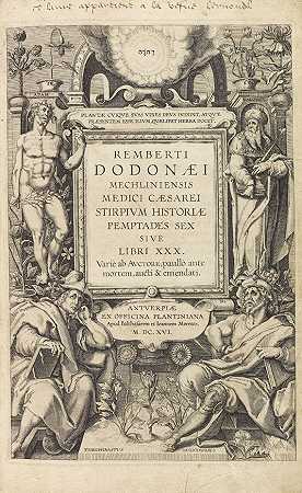 斯特皮姆历史。1616-多多纳乌斯（Rembertus Dodonaeus）