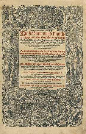 新的完整评论Kreuterbuch。1613.2卷。-雅各布·狄奥多鲁斯·塔伯纳蒙塔努斯