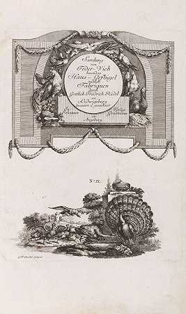收集有羽毛的家畜，尤其是家禽。，1776-戈特利布·弗里德里希·里德尔