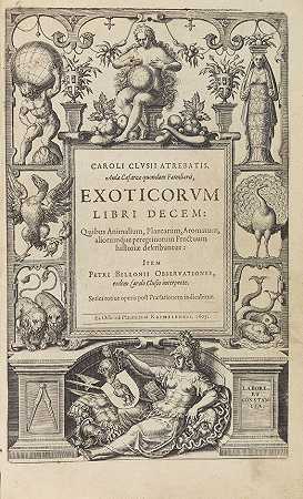 外来植物。Libri Decem。1605-克鲁斯