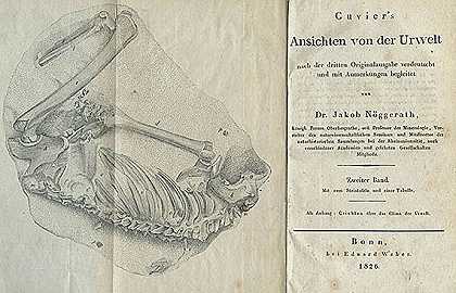 古生物学8作品，共9卷。，1822-古生物学
