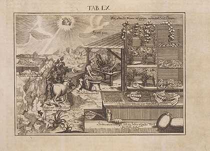真诚的唯物主义者。1717-皮埃尔·波梅特