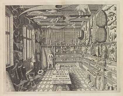 沃米纳姆博物馆。，1655-Ole蠕虫