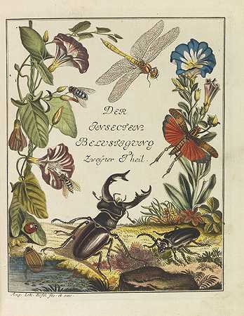 昆虫娱乐。4 Bde。1759-92, 1746.-奥古斯特·罗森霍夫（August J.Rösel von Rosenhof）