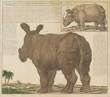 《犀牛插图史》（Homann Erben，1747）。-后来