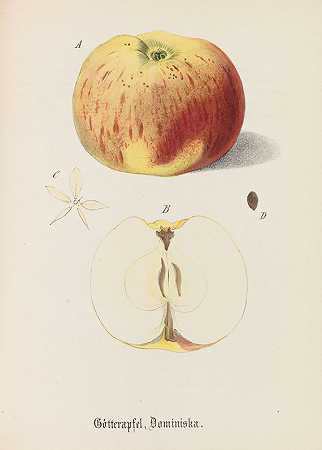 障碍物。2 Bde。1837-40-德国水果柜