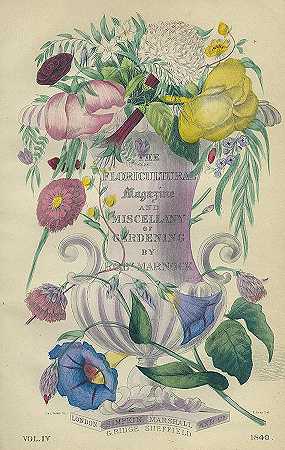 花卉杂志。1838-39.平面图草本植物。三宽。作品，1839年。-罗伯特·马诺克