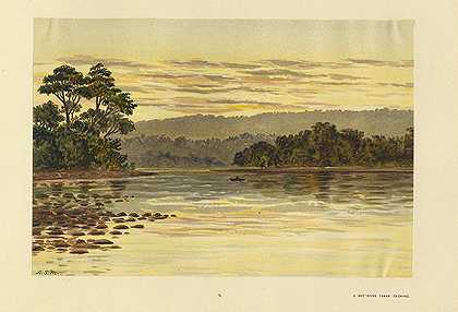塔斯马尼亚河、湖和花。1900-默里，A.S。