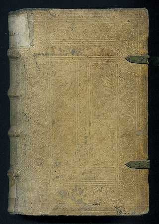 对神圣福音的布道。1588-海鸥肽