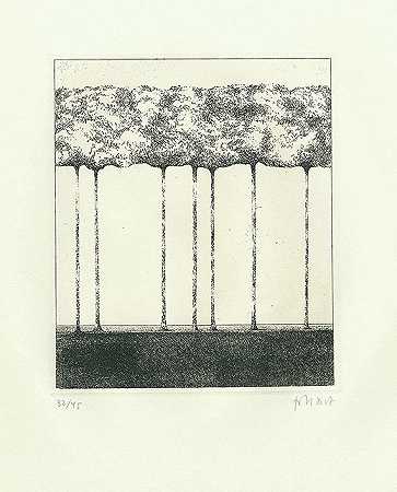 卡夫卡，埃哈特。树木。1968-汉斯·马丁·埃哈特