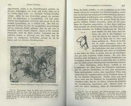 细胞病理学。1858-鲁道夫·维乔