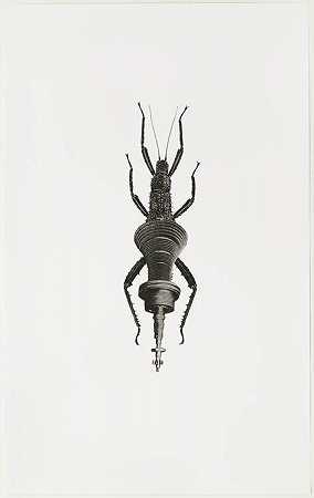 尼古拉斯·兰伯特。机器昆虫。2006
