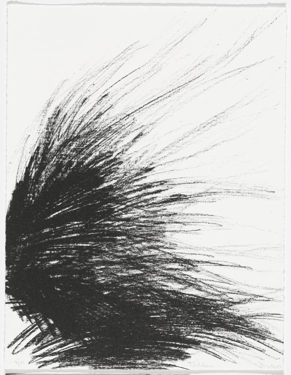 内奥米·博雷茨。美国抽象艺术家60周年纪念印刷作品集中的三叶草。1997