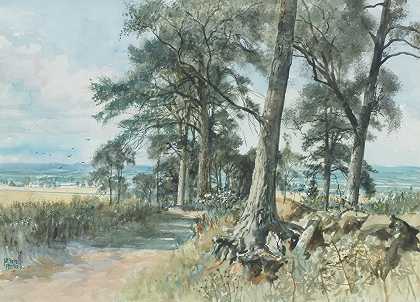 James McIntosh Patrick RSA ROI是LLD 景观树木，安格斯54 x 74厘米。