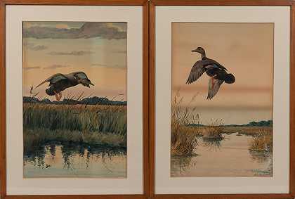 路易斯·阿加西·富尔特斯 五幅岸鸟和鸭子图片，尺寸为22 1/4 x 14 7/8英寸。两个框架28 x 20 3/4 x 1/2英寸。