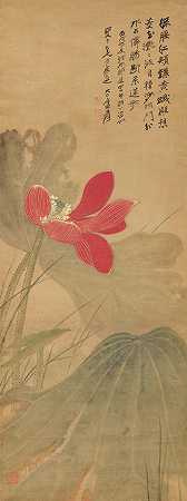 张大千（张大千，1899-1983） 红莲花