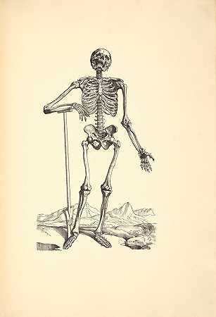 安德烈亚斯·维萨留斯。1514-1564. 图标解剖。慕尼黑：纽约医学院布雷默出版社和慕尼黑大学图书馆，1934-1935年。