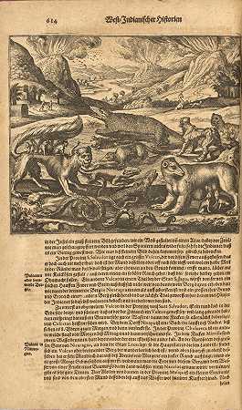 抓到了，约翰路德维希。c、 1584-1633年。 新世界和美国历史。法兰克福：梅里安的继承人，1655年。