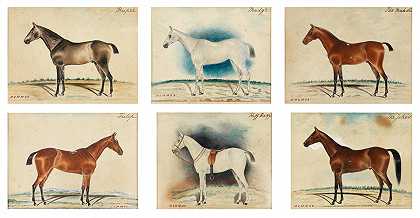 印度学派 马球小马的肖像，一套六匹，每匹13.9 x 19.1厘米。