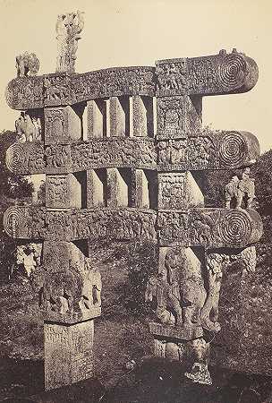 弗格森（詹姆斯） 《树与蛇崇拜：或印度神话与艺术插图》，W.H.Allen，印度博物馆，1873年