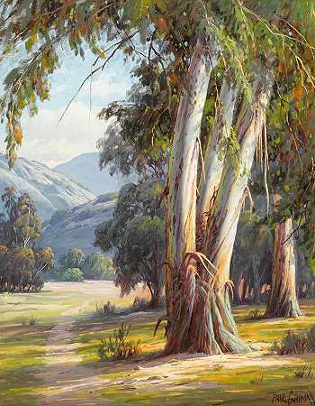 保罗·格林 桉树和远山30 x 24英寸框架36 x 30英寸