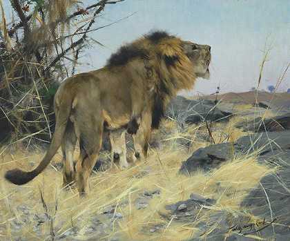 威廉·弗里德里奇·库什纳 咆哮的狮子