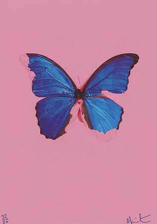 达米恩·赫斯特 蓝蝴蝶来自：在最黑暗的时刻，可能会有光明